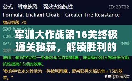 军训大作战第16关终极通关秘籍，解锁胜利的关键步骤与策略指南