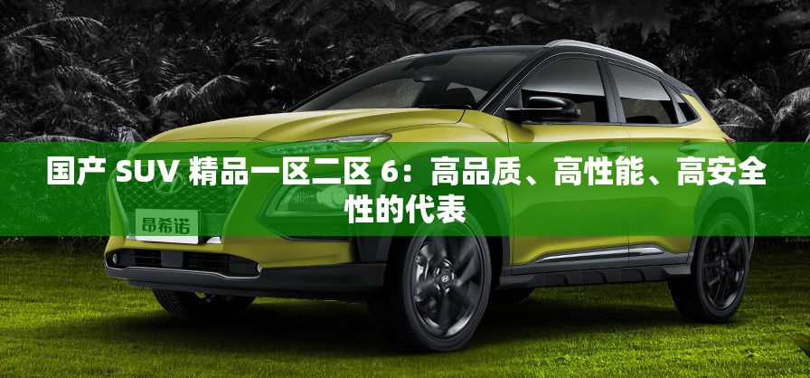 国产 SUV 精品一区二区 6：高品质、高性能、高安全性的代表