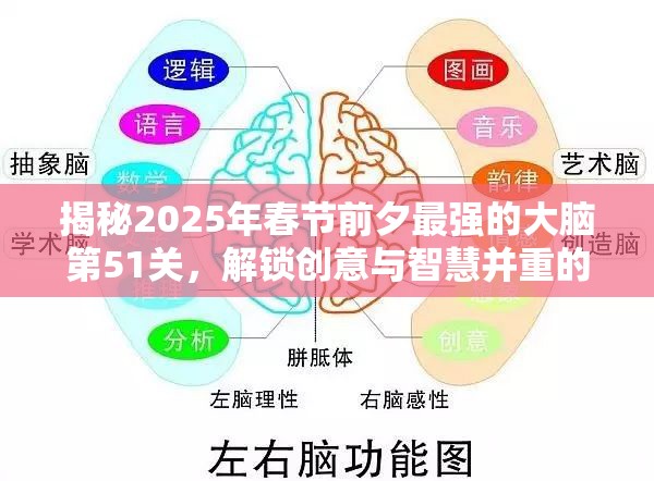 揭秘2025年春节前夕最强的大脑第51关，解锁创意与智慧并重的终极考验