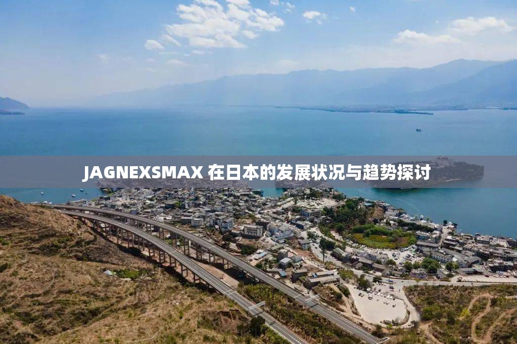 JAGNEXSMAX 在日本的发展状况与趋势探讨