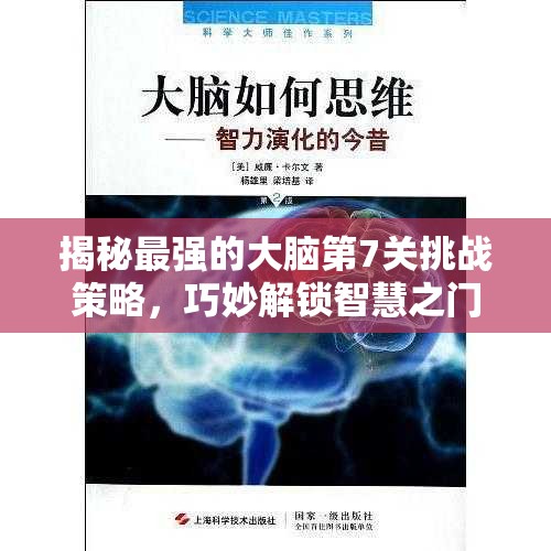 揭秘最强的大脑第7关挑战策略，巧妙解锁智慧之门，展现超凡思维能力