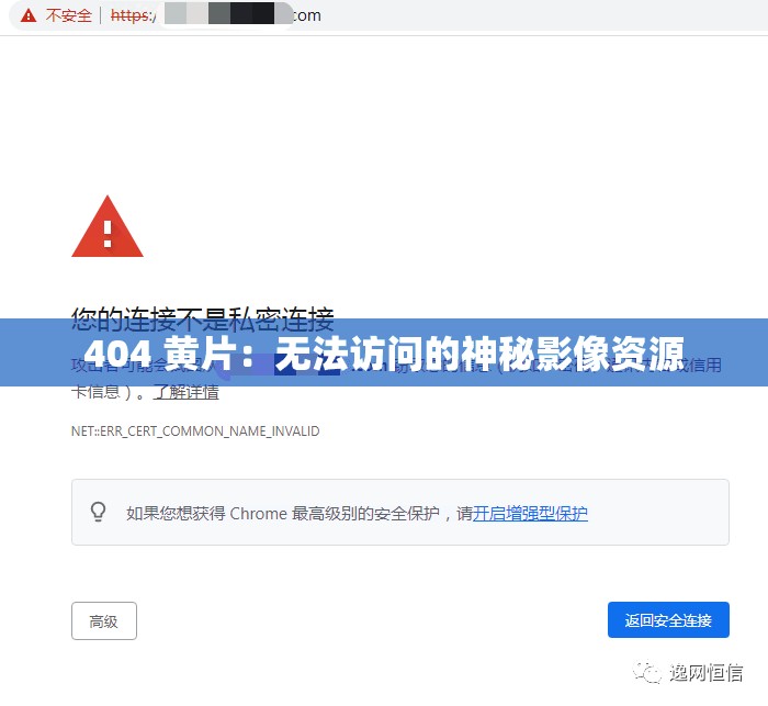 404 黄片：无法访问的神秘影像资源