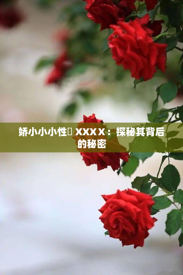 娇小小小性泬 XXXⅩ：探秘其背后的秘密