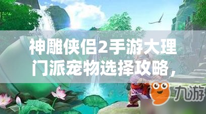 神雕侠侣2手游大理门派宠物选择攻略，详解外功与辅助宠物搭配