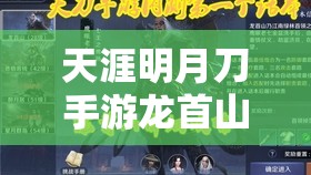 天涯明月刀手游龙首山副本信娘BOSS高效通关策略及资源管理详解