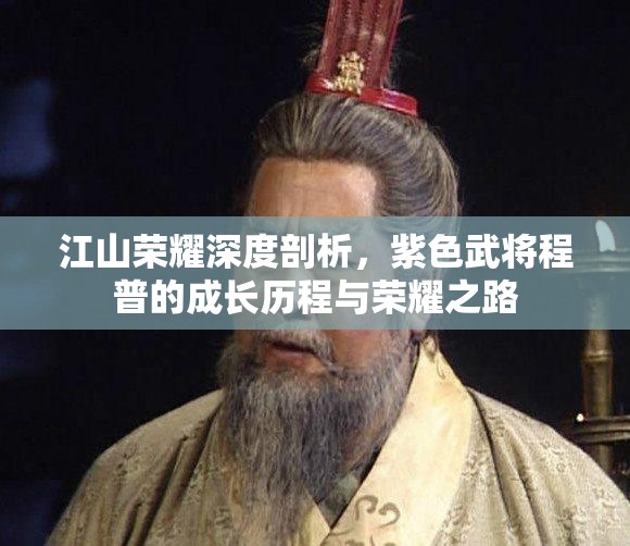 江山荣耀深度剖析，紫色武将程普的成长历程与荣耀之路