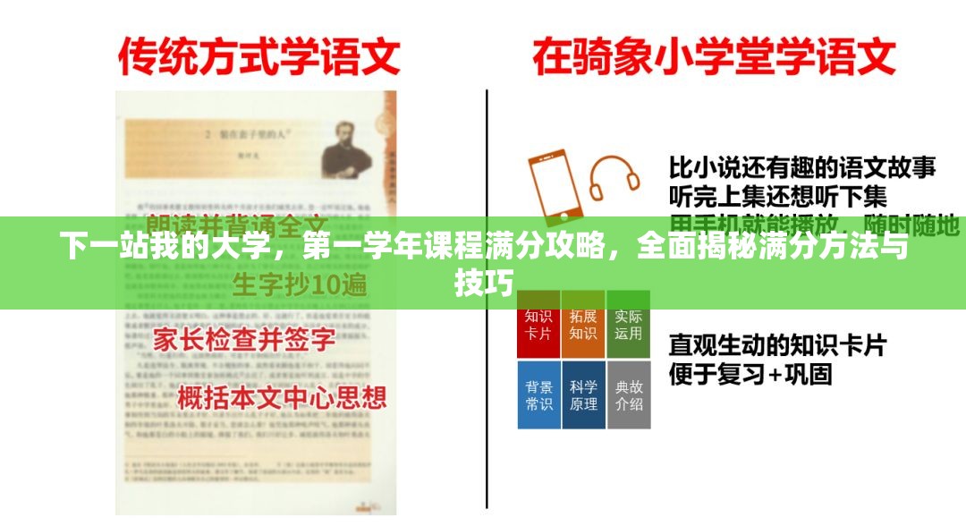 下一站我的大学，第一学年课程满分攻略，全面揭秘满分方法与技巧