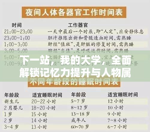 下一站，我的大学，全面解锁记忆力提升与人物属性增强秘籍指南