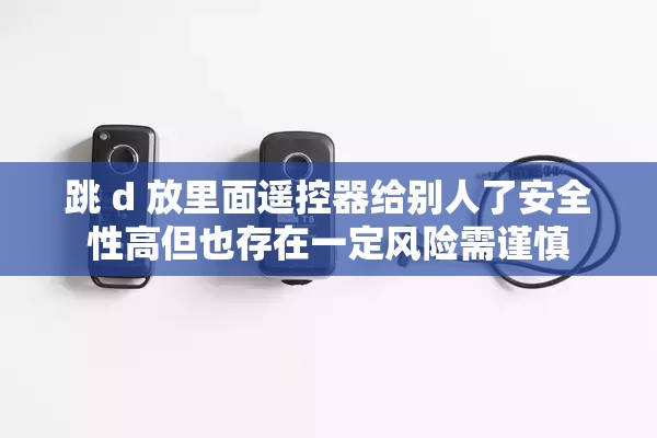 跳 d 放里面遥控器给别人了安全性高但也存在一定风险需谨慎