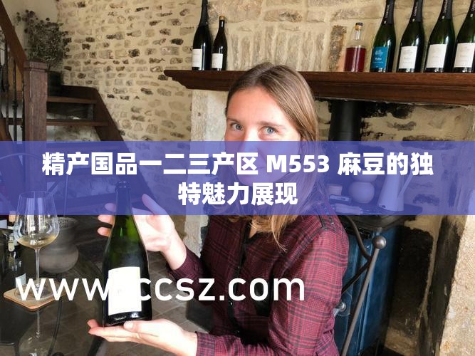 精产国品一二三产区 M553 麻豆的独特魅力展现