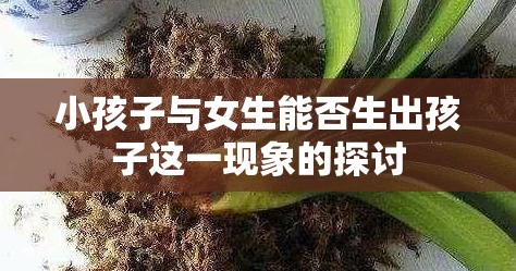 小孩子与女生能否生出孩子这一现象的探讨