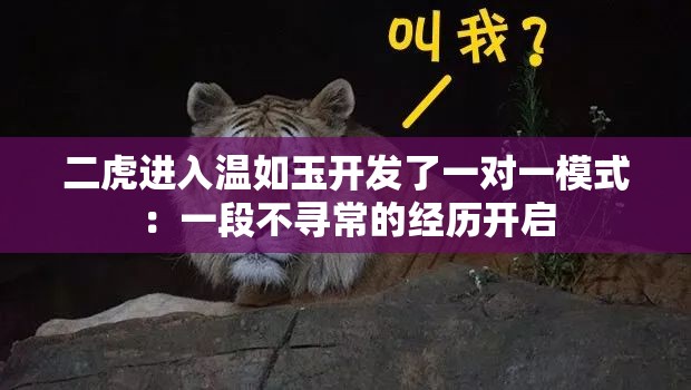 二虎进入温如玉开发了一对一模式：一段不寻常的经历开启