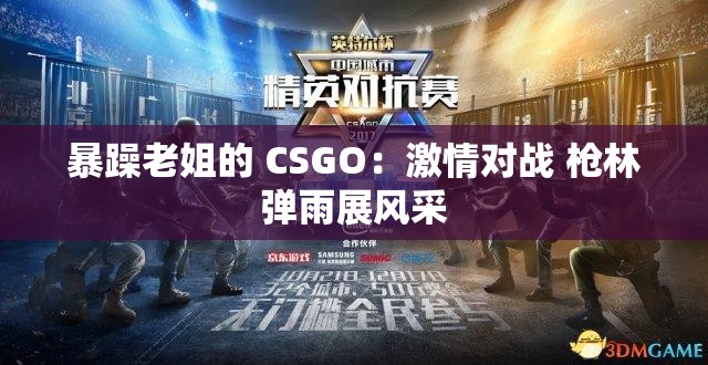 暴躁老姐的 CSGO：激情对战 枪林弹雨展风采