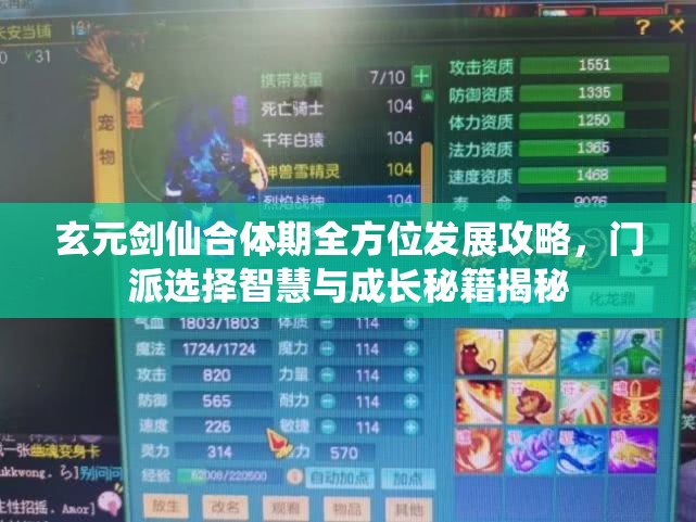 玄元剑仙合体期全方位发展攻略，门派选择智慧与成长秘籍揭秘