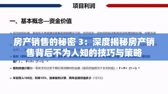 房产销售的秘密 3：深度揭秘房产销售背后不为人知的技巧与策略