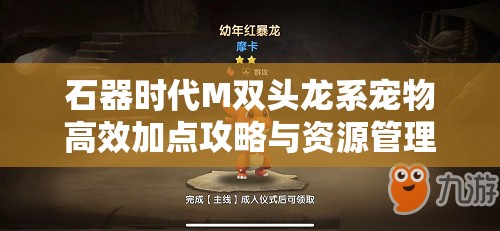 石器时代M双头龙系宠物高效加点攻略与资源管理技巧详解