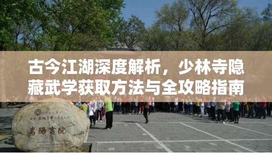 古今江湖深度解析，少林寺隐藏武学获取方法与全攻略指南