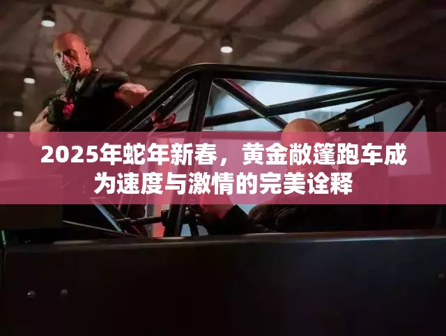 2025年蛇年新春，黄金敞篷跑车成为速度与激情的完美诠释