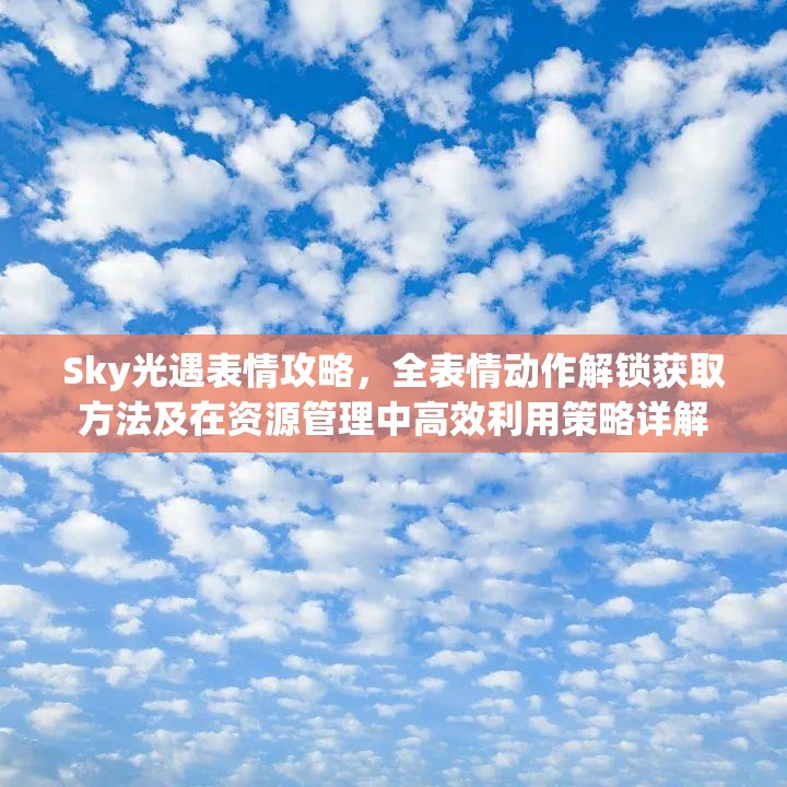 Sky光遇表情攻略，全表情动作解锁获取方法及在资源管理中高效利用策略详解