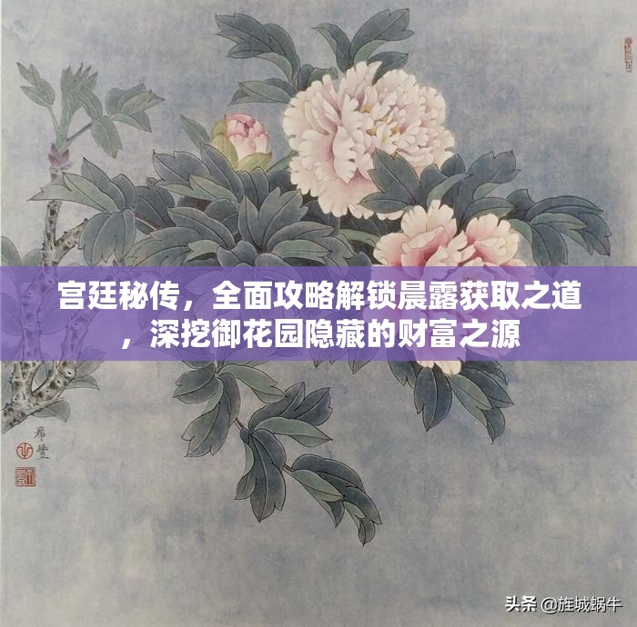 宫廷秘传，全面攻略解锁晨露获取之道，深挖御花园隐藏的财富之源