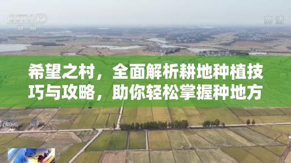 希望之村，全面解析耕地种植技巧与攻略，助你轻松掌握种地方法