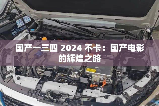 国产一三四 2024 不卡：国产电影的辉煌之路