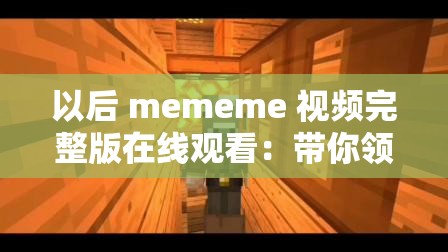 以后 mememe 视频完整版在线观看：带你领略未知的世界