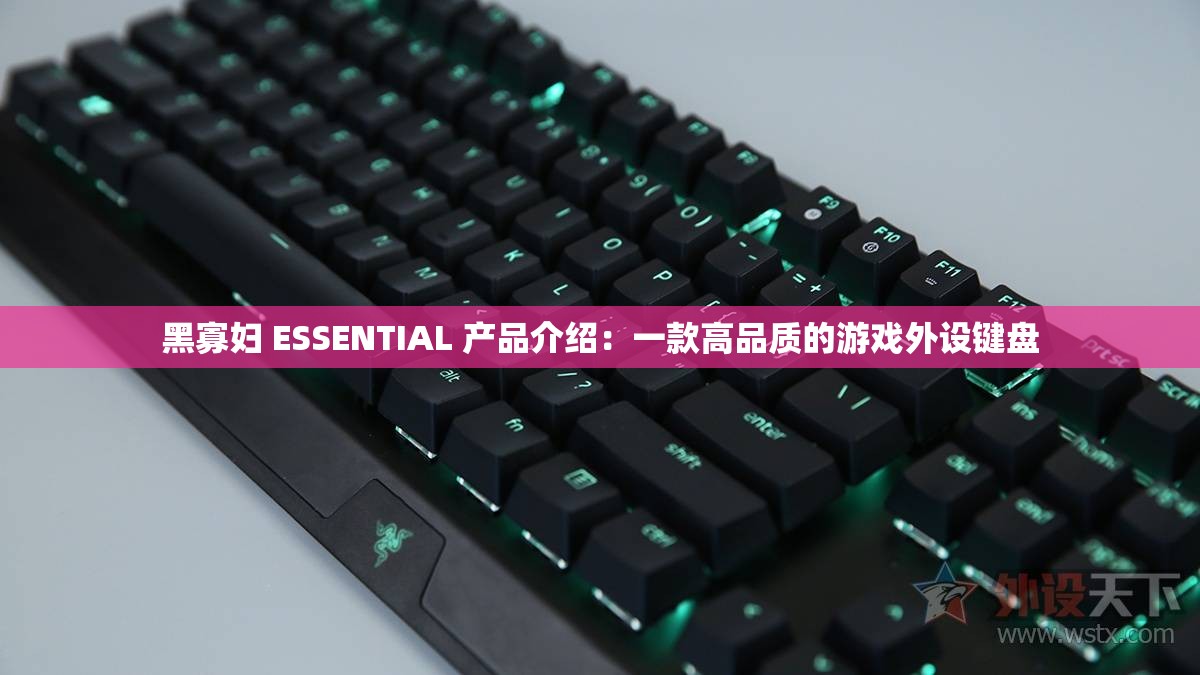 黑寡妇 ESSENTIAL 产品介绍：一款高品质的游戏外设键盘