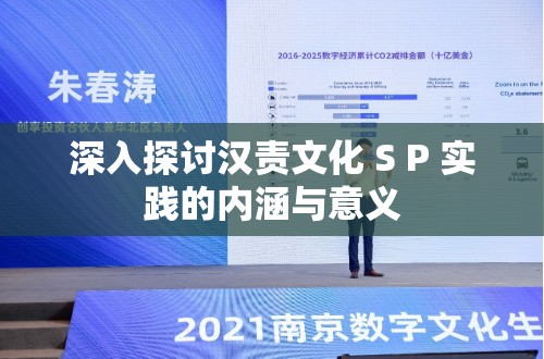 深入探讨汉责文化 S P 实践的内涵与意义