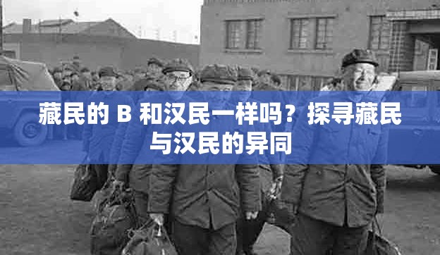 藏民的 B 和汉民一样吗？探寻藏民与汉民的异同