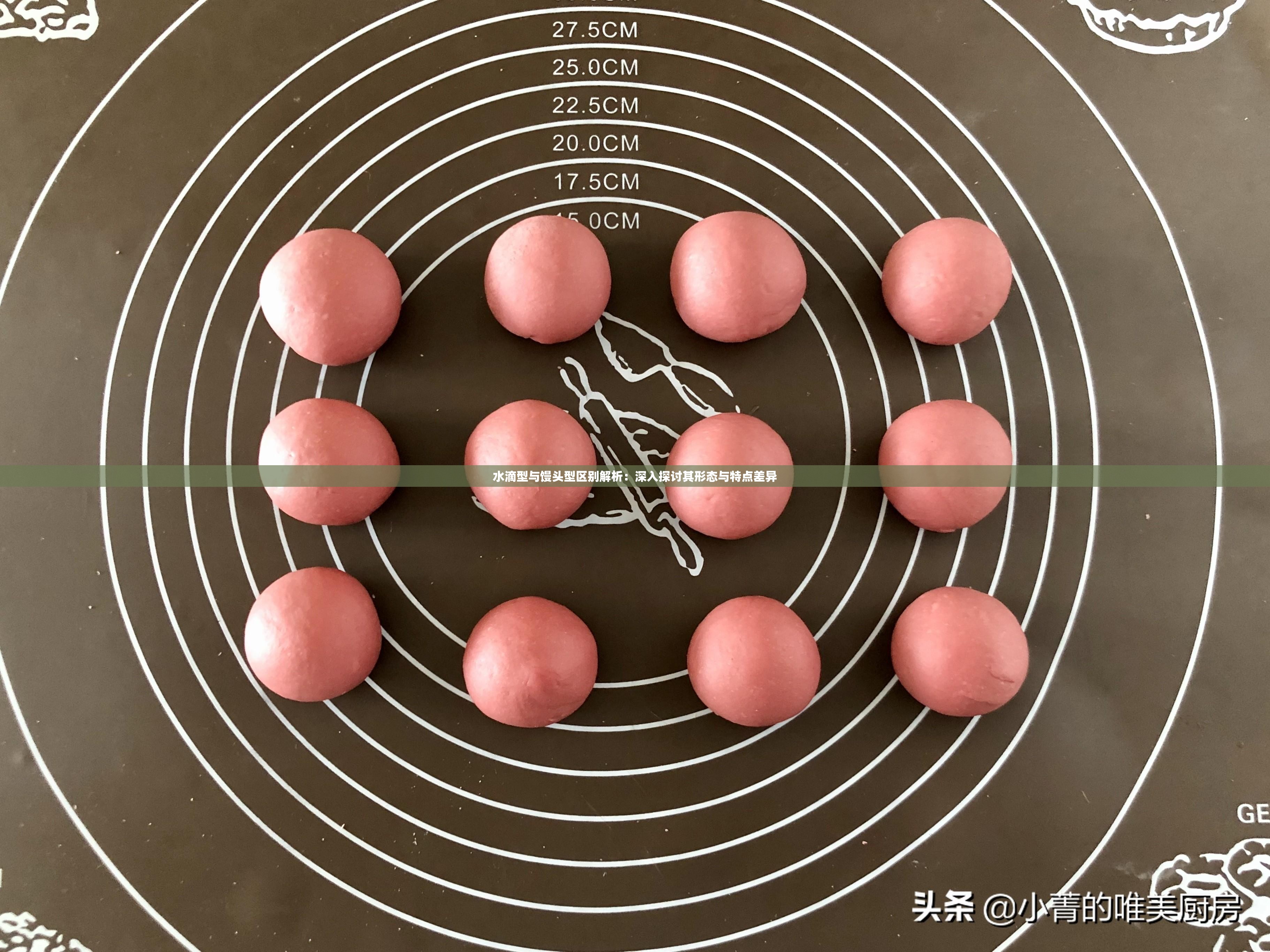 水滴型与馒头型区别解析：深入探讨其形态与特点差异