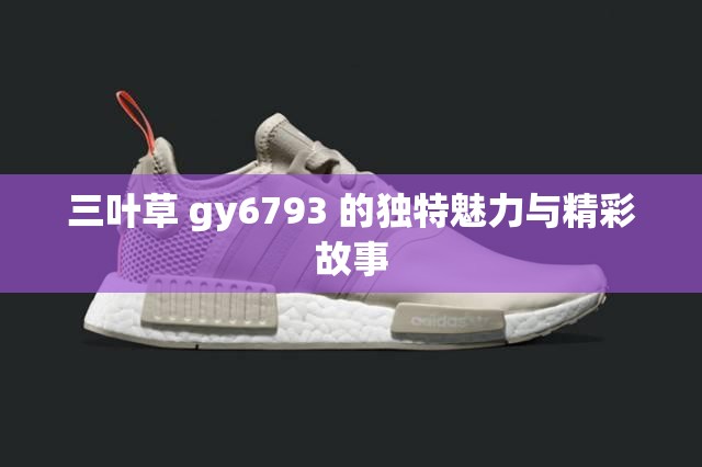 三叶草 gy6793 的独特魅力与精彩故事