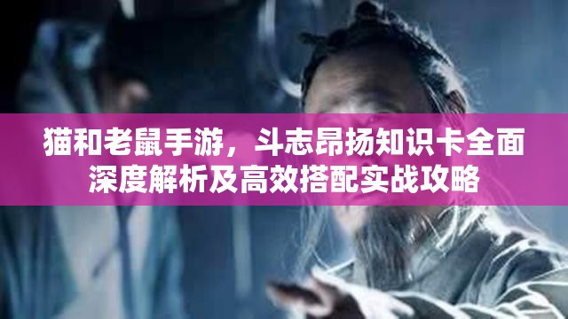 猫和老鼠手游，斗志昂扬知识卡全面深度解析及高效搭配实战攻略