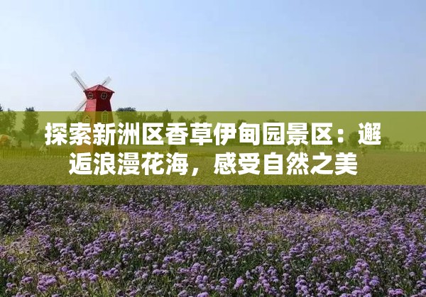 探索新洲区香草伊甸园景区：邂逅浪漫花海，感受自然之美