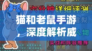 猫和老鼠手游，深度解析威压知识卡搭配攻略，揭秘资源管理高效利用技巧