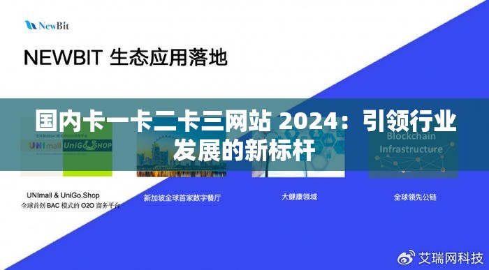 国内卡一卡二卡三网站 2024：引领行业发展的新标杆