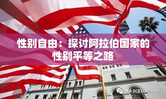 性别自由：探讨阿拉伯国家的性别平等之路