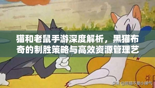 猫和老鼠手游深度解析，黑猫布奇的制胜策略与高效资源管理艺术