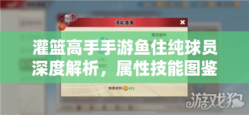 灌篮高手手游鱼住纯球员深度解析，属性技能图鉴、玩法及资源管理策略