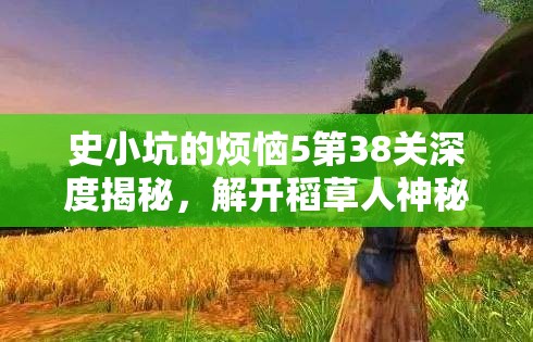 史小坑的烦恼5第38关深度揭秘，解开稻草人神秘走路之谜的攻略