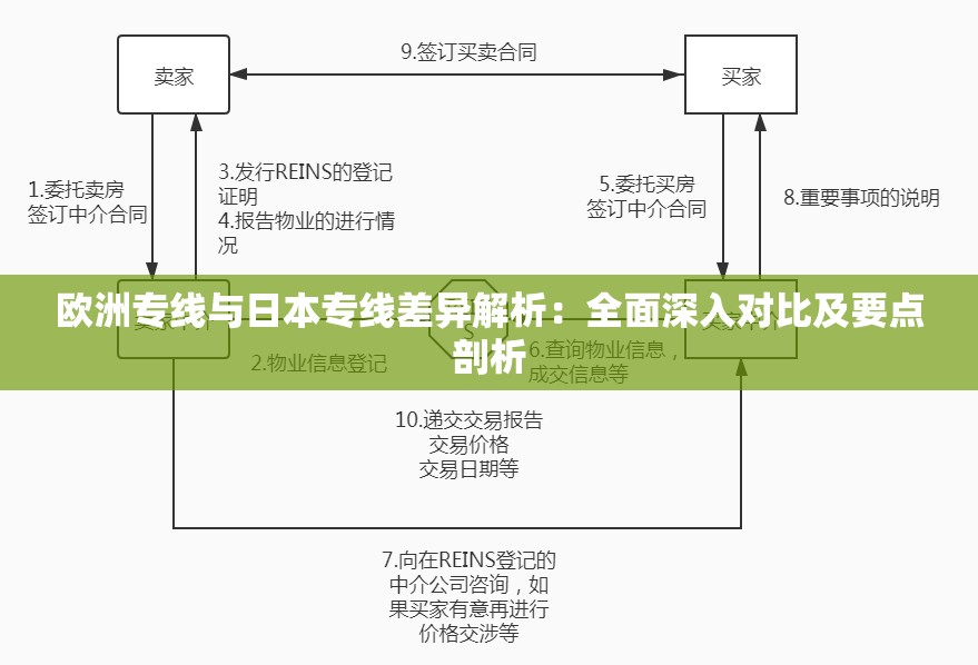 欧洲专线与日本专线差异解析：全面深入对比及要点剖析