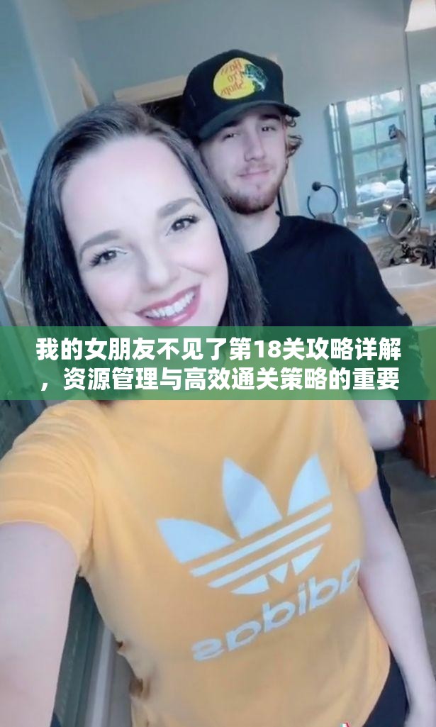 我的女朋友不见了第18关攻略详解，资源管理与高效通关策略的重要性