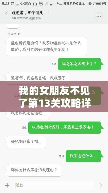 我的女朋友不见了第13关攻略详解，资源管理与高效通关策略的重要性