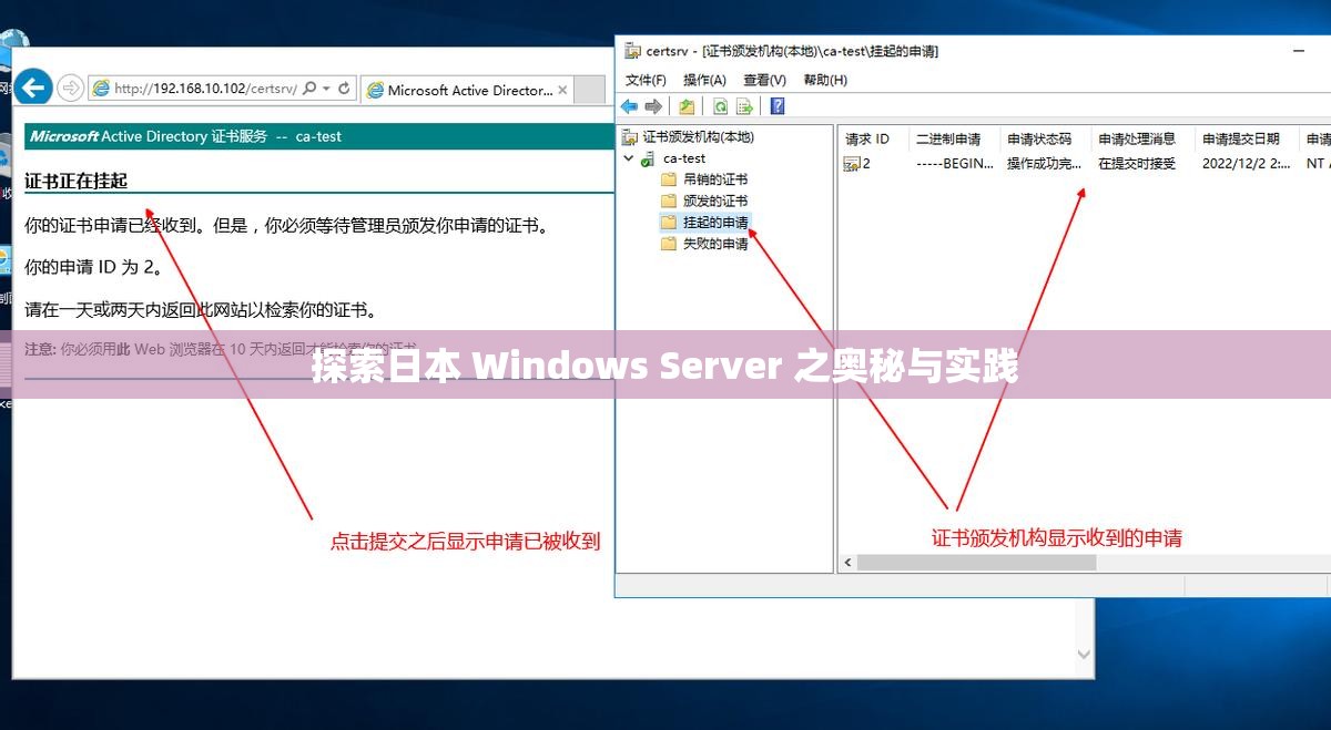 探索日本 Windows Server 之奥秘与实践