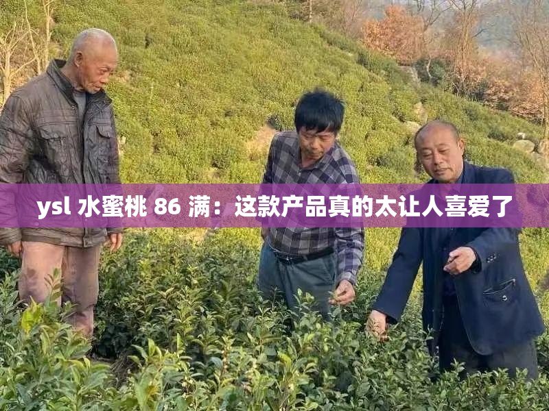 ysl 水蜜桃 86 满：这款产品真的太让人喜爱了