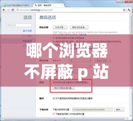 哪个浏览器不屏蔽 p 站：探寻那些可正常访问 p 站的浏览器