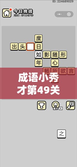 成语小秀才第49关全面攻略，技巧与策略助你轻松解锁秀才成就之路