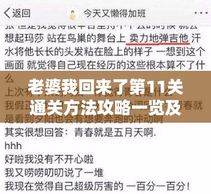 老婆我回来了第11关通关方法攻略一览及深度解析指南