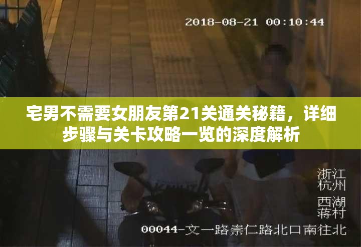 宅男不需要女朋友第21关通关秘籍，详细步骤与关卡攻略一览的深度解析