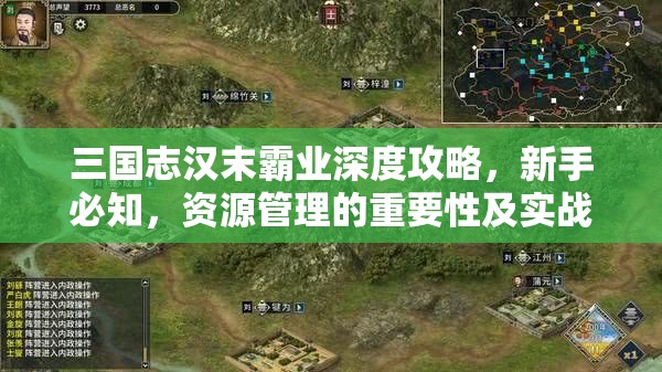 三国志汉末霸业深度攻略，新手必知，资源管理的重要性及实战应用技巧